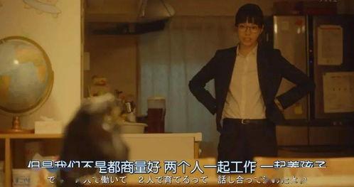 人间疾苦国产版歌曲视频