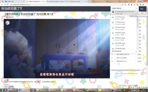 国产理论播放视频,视频解析与深度解读