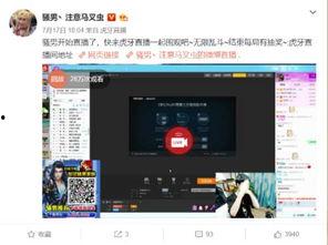 国产虎牙微视频下载,轻松获取热门短视频的便捷之道