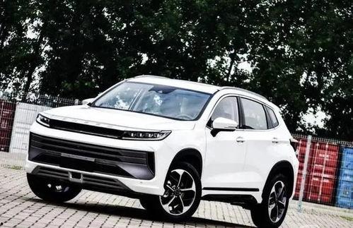 国产星途越野视频大全,国产硬派SUV视频大全赏析