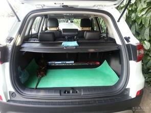 自主范儿国产车视频